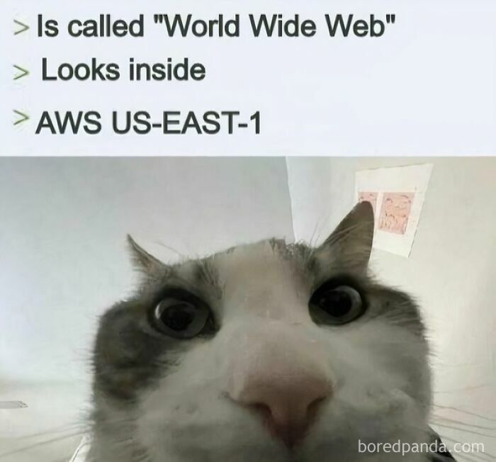 Wait, They Actually Made Memes About Programmers?!