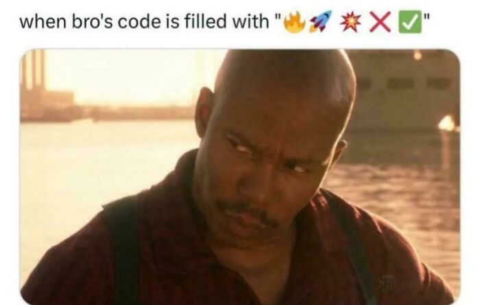 Wait, They Actually Made Memes About Programmers?!