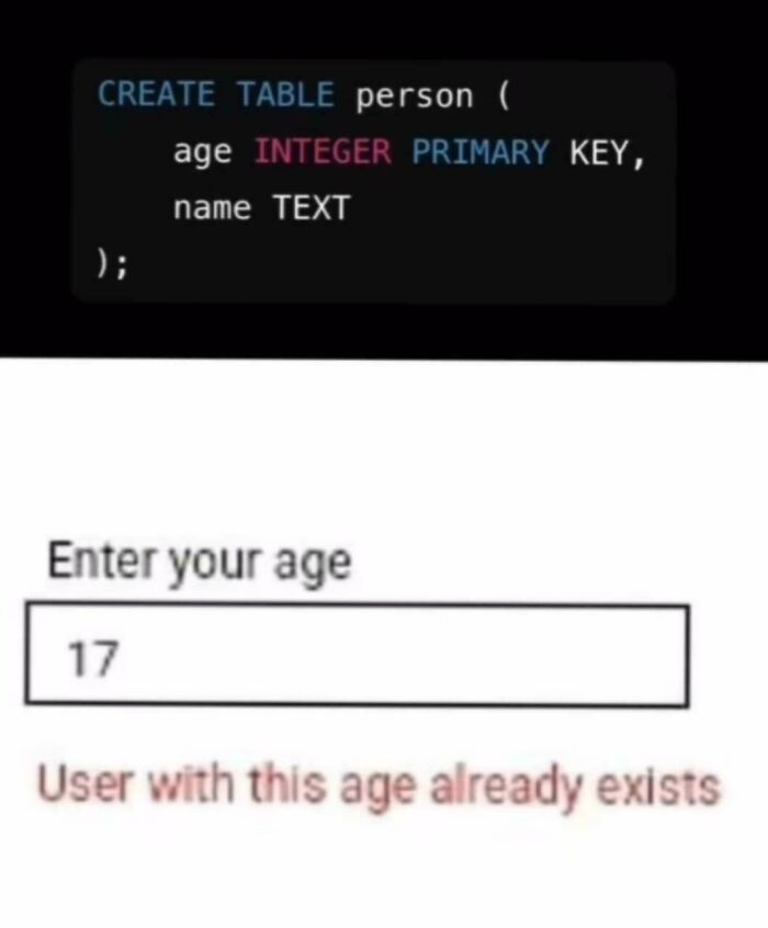 Wait, They Actually Made Memes About Programmers?!