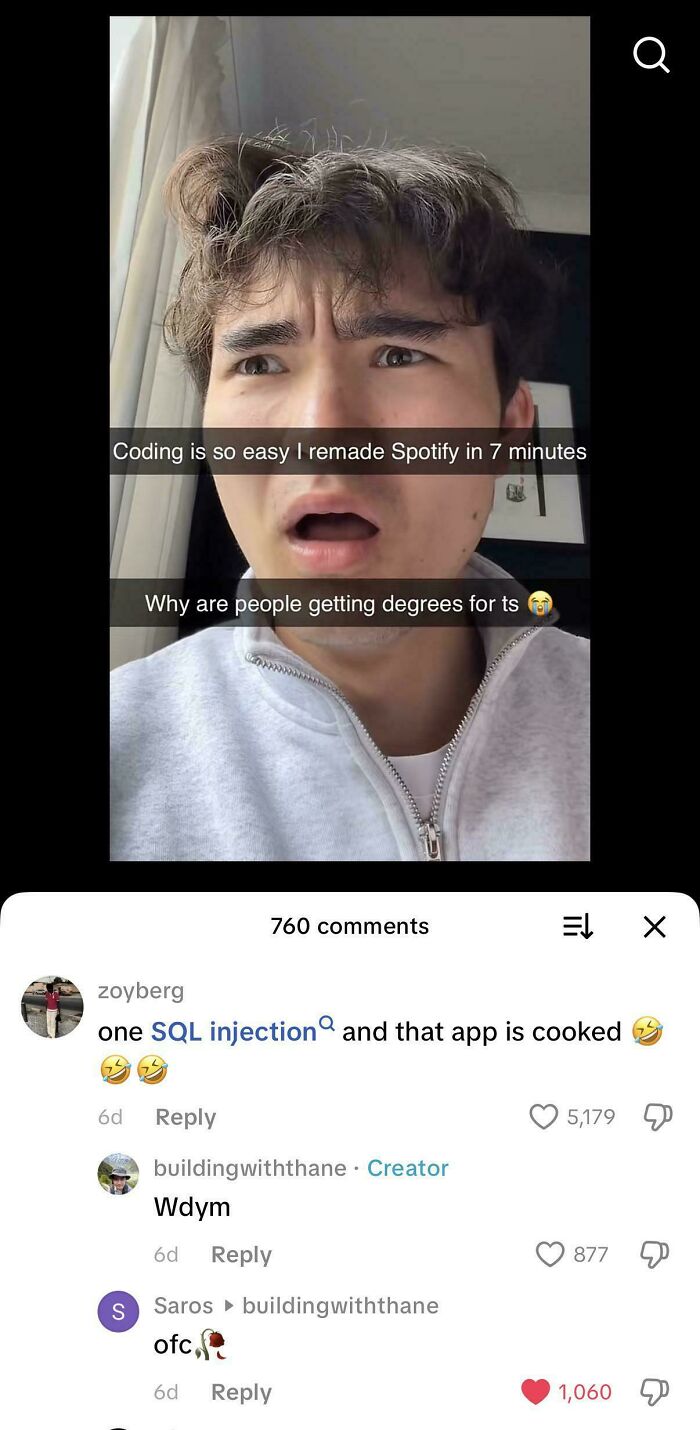 Wait, They Actually Made Memes About Programmers?!
