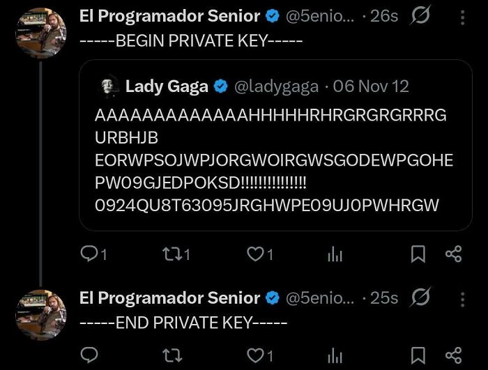 Wait, They Actually Made Memes About Programmers?!