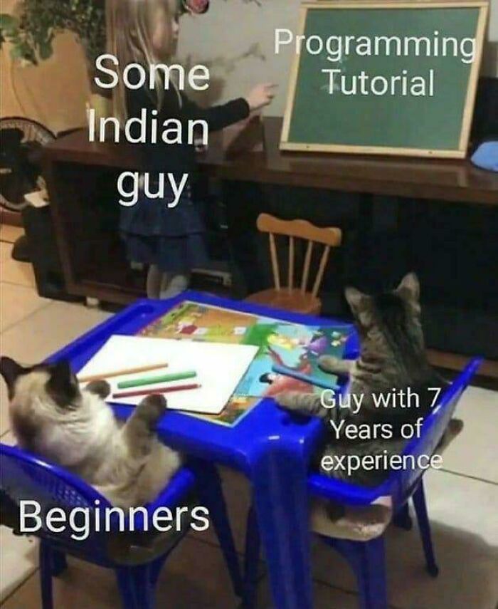 Wait, They Actually Made Memes About Programmers?!