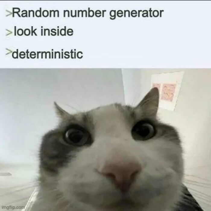 Wait, They Actually Made Memes About Programmers?!