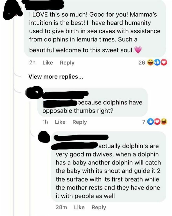 Ocean Birth Drama: The Comment Section Explodes