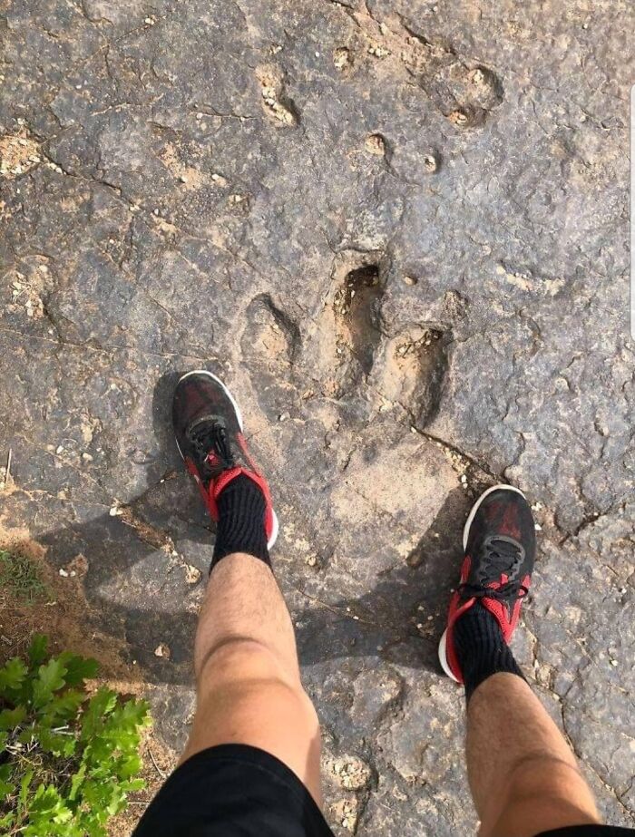 Footprints in Utah That Survived Millions of Years!
