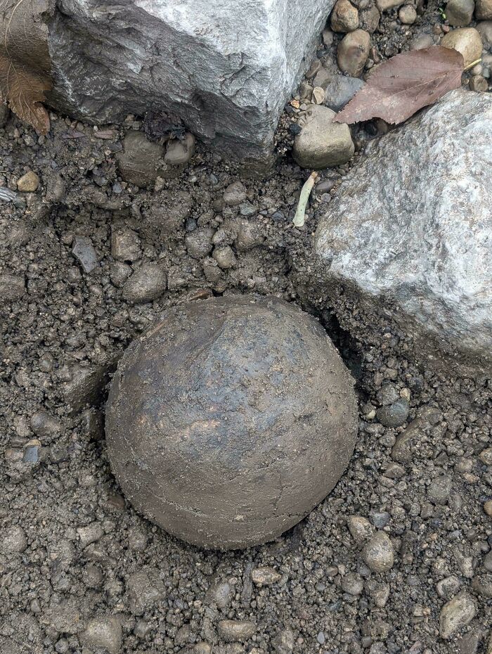 Is This a Bowling Ball or a Fossil? Spoiler: It’s Both!