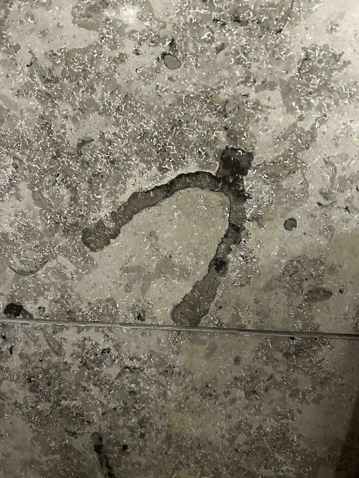 Now You’ll Always Spot Dental Arches in Bathroom Tiles!