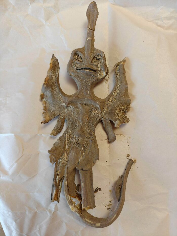 79 Fossils People Found That Are Just Plain Awesome