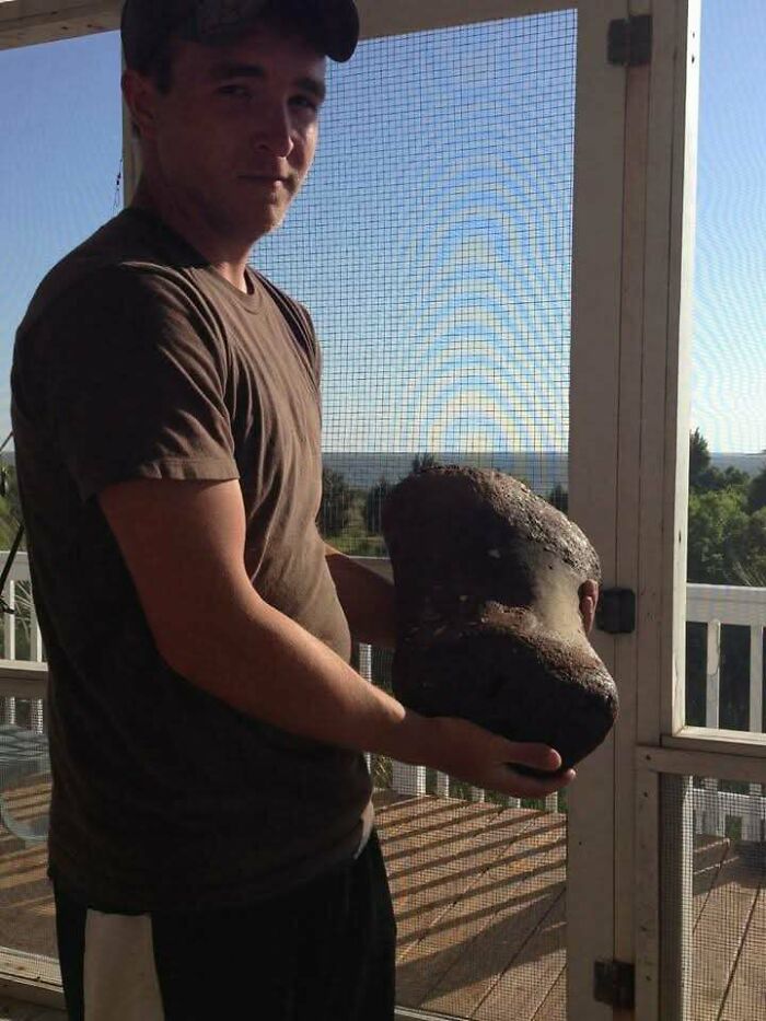 79 Fossils People Found That Are Just Plain Awesome