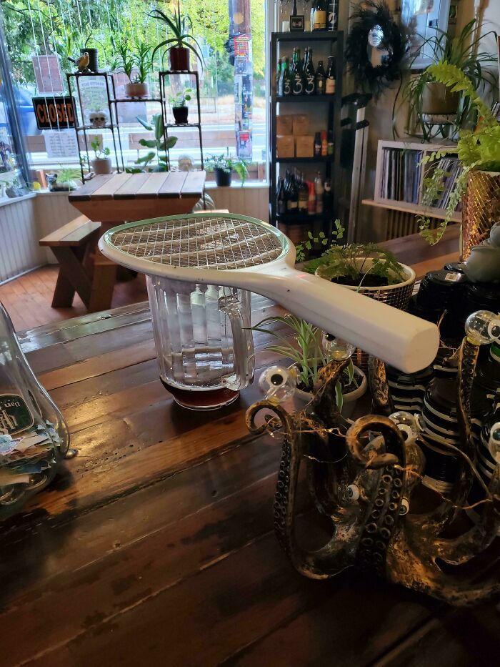 Fruit Fly Problem? Electric Swatter Meets Sweet Beer. Hands-Free Bug Zapping!