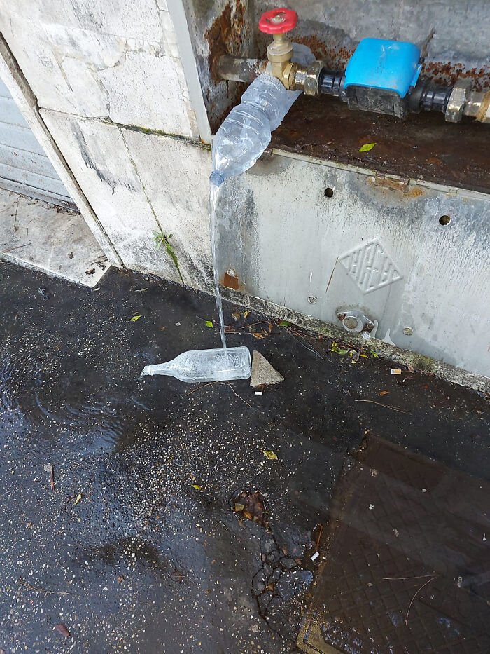 Found This On The Street