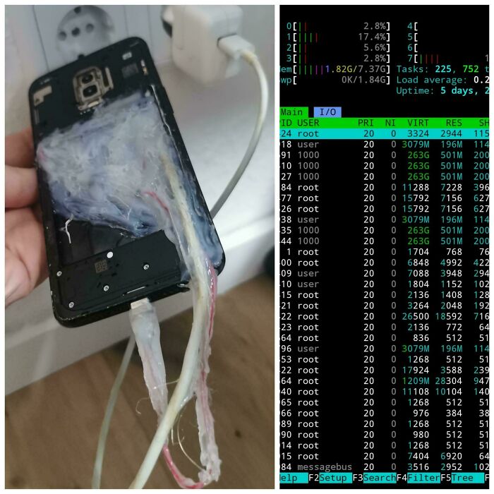 Magnificent, Reliable, And Plenty Of Jank