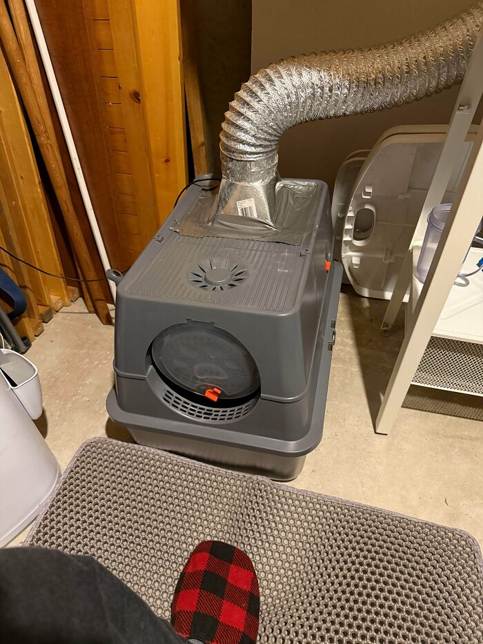 My “Simple” Solution To Litter Box Smells