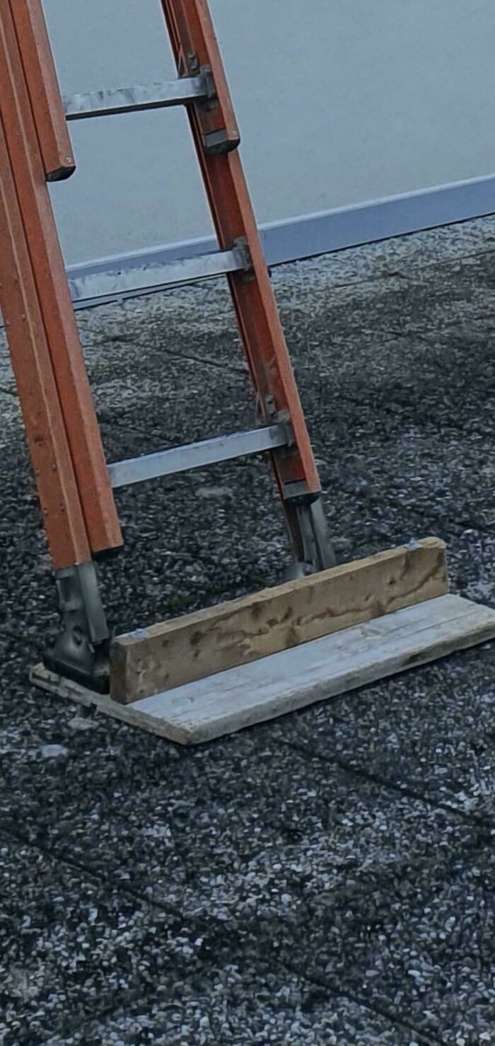 Single And Need Ladder Support? Say No More