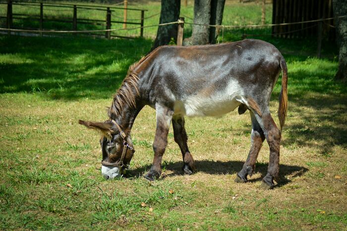 Wait, People Actually Said These Things and Meant It?!