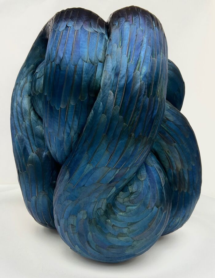 Lumen: Nature’s Patterns Shine Bright