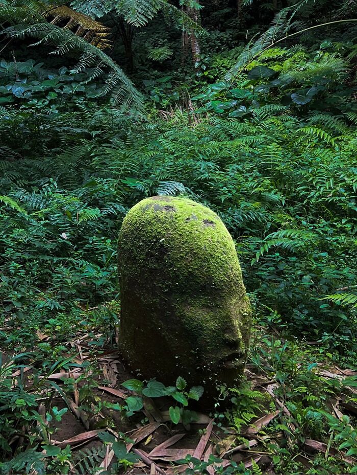 Earth Body: Mud, Clay, and Soul All Mixed In