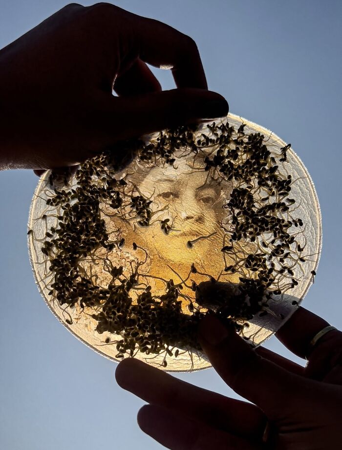 Layers That Grow: Art That’s Patient As A Garden