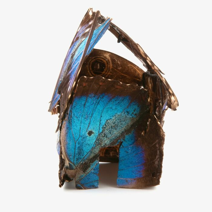 Our Fragile Home: Butterfly Magic and Tiny Houses