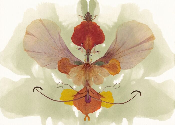 Botanical Beings: Nature’s Secret Stories Unfold