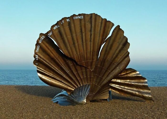 The Scallop: A Giant Shell Singing To The Sea