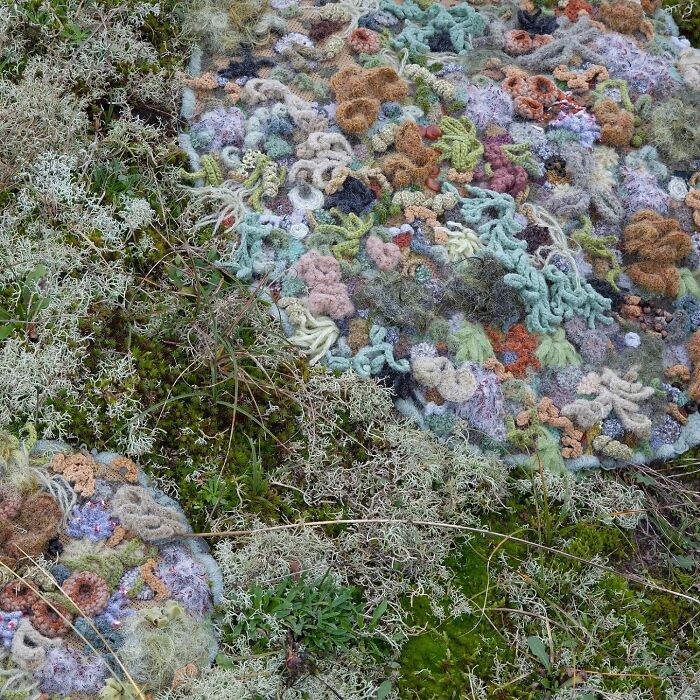 Mending Nature: Fixing Trees (With Yarn!)