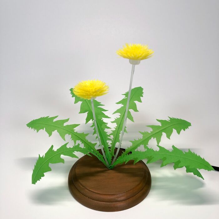 Wait, This Artist Turns Paper Into Insane 3D Sculptures That Will Blow Your Mind!