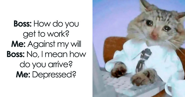 51 Memes That Totally Get You When Life’s a Hot Mess