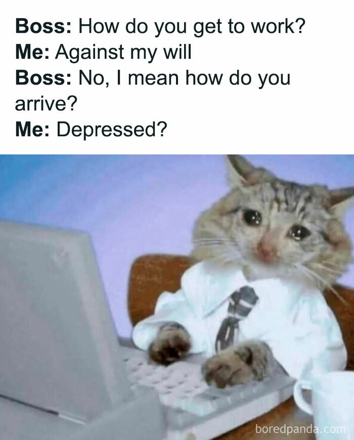 51 Memes That Totally Get You When Life's a Hot Mess