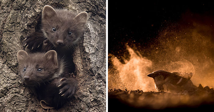 Wait Till You See These Wild Pics That Will Totally Blow Your Mind!