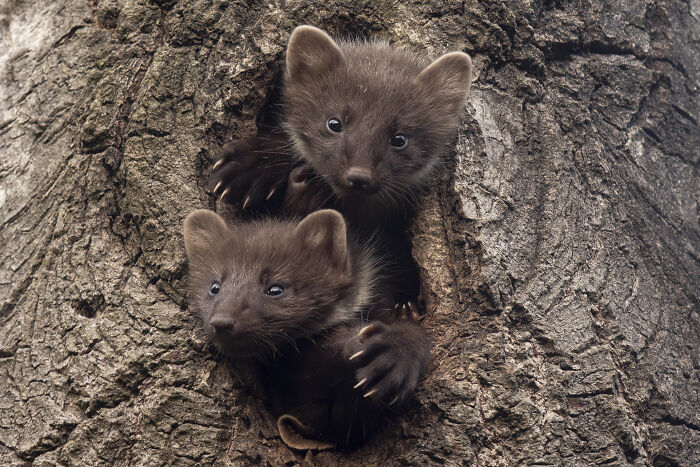 Wait Till You See These Wild Pics That Will Totally Blow Your Mind!