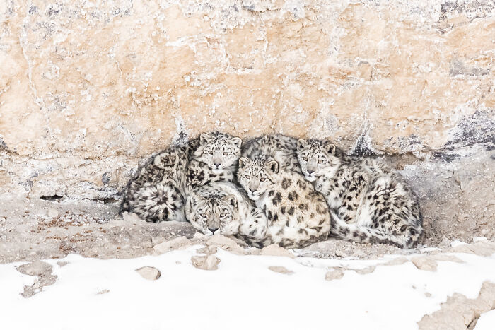 Wait Till You See These Wild Pics That Will Totally Blow Your Mind!