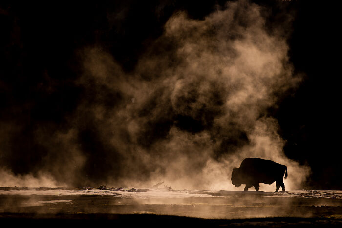 Wait Till You See These Wild Pics That Will Totally Blow Your Mind!