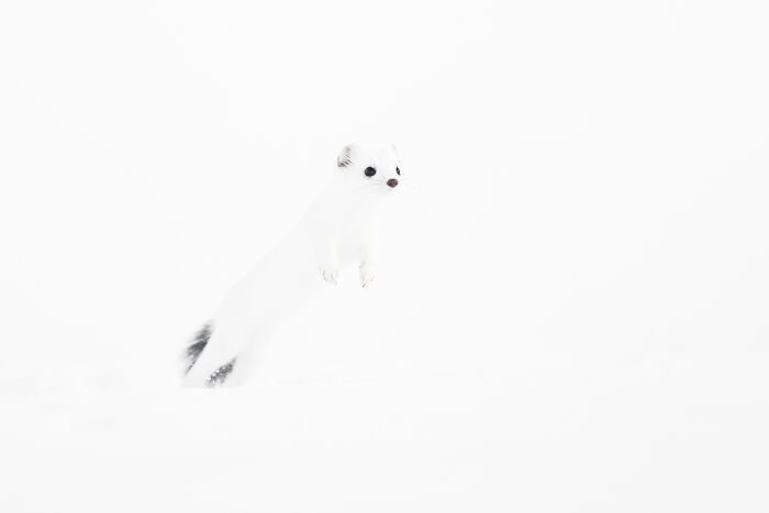 Wait Till You See These Wild Pics That Will Totally Blow Your Mind!