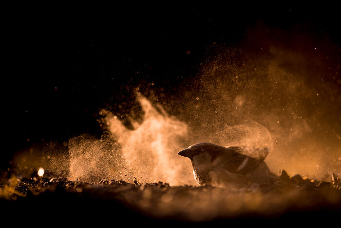 Wait Till You See These Wild Pics That Will Totally Blow Your Mind!