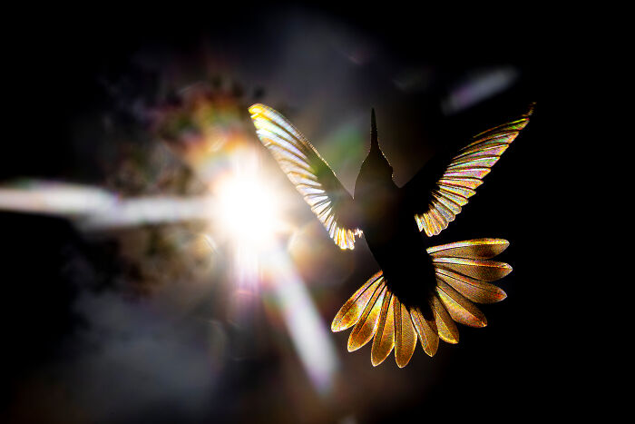 Wait Till You See These Wild Pics That Will Totally Blow Your Mind!