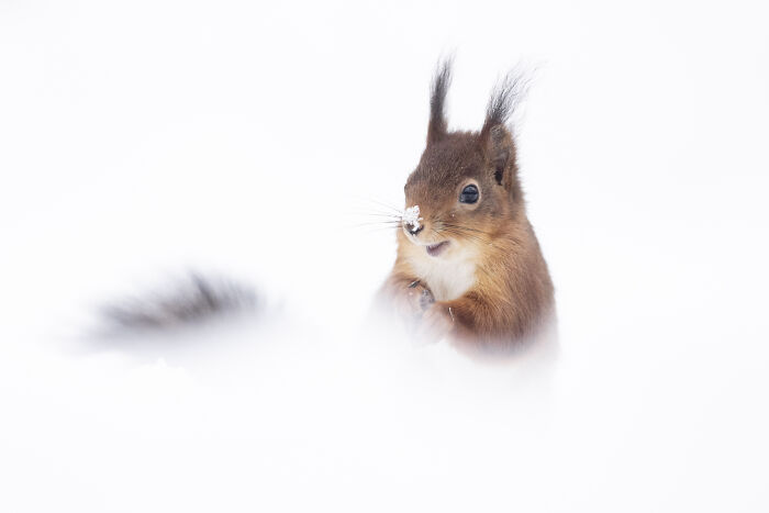 Wait Till You See These Wild Pics That Will Totally Blow Your Mind!