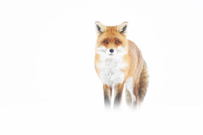 Wait Till You See These Wild Pics That Will Totally Blow Your Mind!