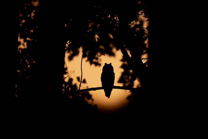 Wait Till You See These Wild Pics That Will Totally Blow Your Mind!