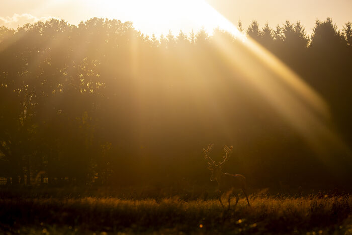 Wait Till You See These Wild Pics That Will Totally Blow Your Mind!