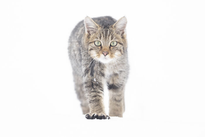 Wait Till You See These Wild Pics That Will Totally Blow Your Mind!