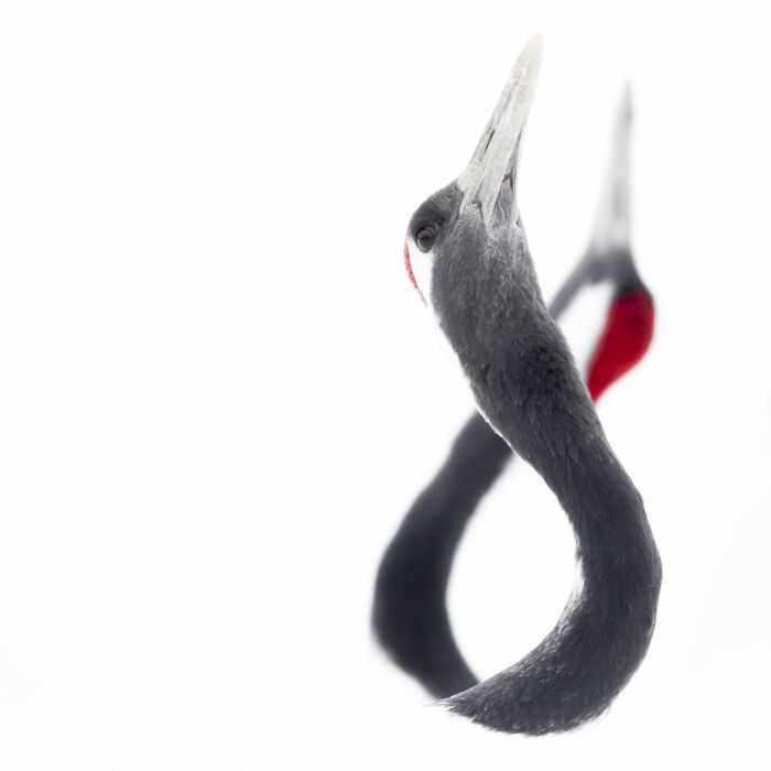 Wait Till You See These Wild Pics That Will Totally Blow Your Mind!