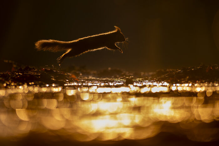 Wait Till You See These Wild Pics That Will Totally Blow Your Mind!