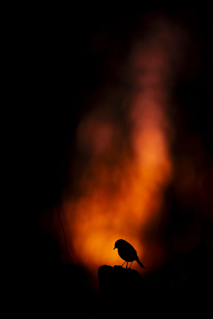 Wait Till You See These Wild Pics That Will Totally Blow Your Mind!