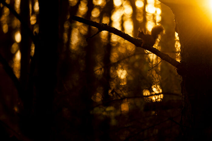 Wait Till You See These Wild Pics That Will Totally Blow Your Mind!