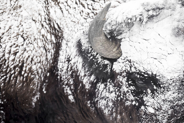 Wait Till You See These Wild Pics That Will Totally Blow Your Mind!