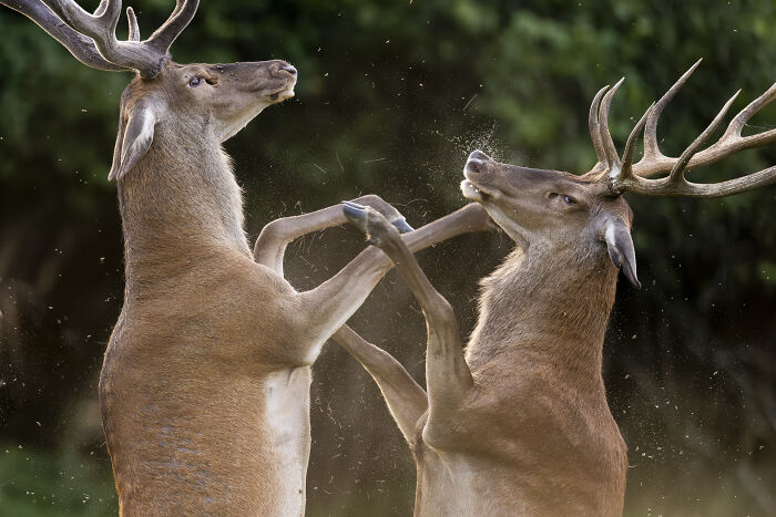 Wait Till You See These Wild Pics That Will Totally Blow Your Mind!