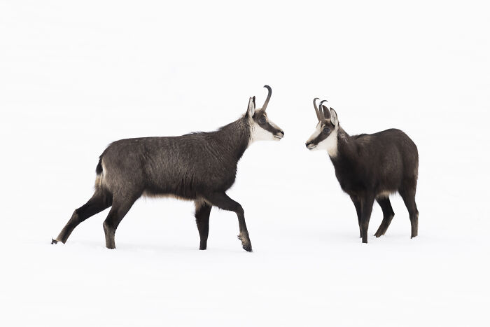 Wait Till You See These Wild Pics That Will Totally Blow Your Mind!