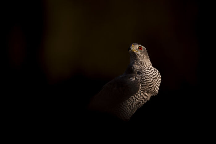 Wait Till You See These Wild Pics That Will Totally Blow Your Mind!