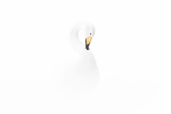 Wait Till You See These Wild Pics That Will Totally Blow Your Mind!